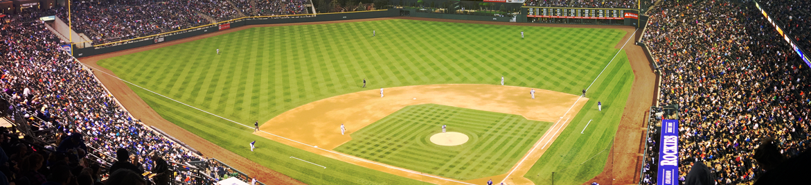 Athletic Fields Maintenance Landscaper Birmingham, Alabama