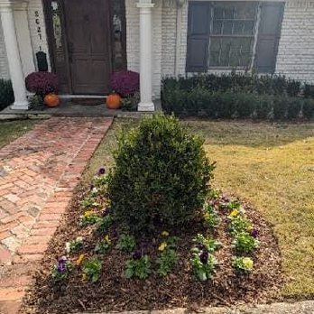 brick path brick path and shrubs
