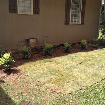 patch of sod small patch of sod near home