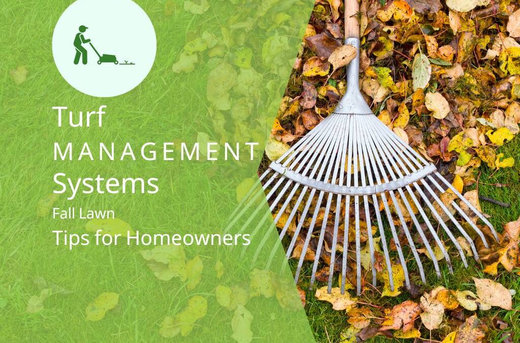 Fall Lawn Tips for Birmingham Area Homeowners