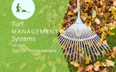 Fall Lawn Tips for Birmingham Area Homeowners