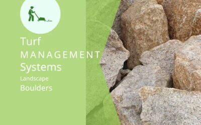 How Much Are Landscape Boulders in Vestavia Hills?