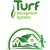 TMS solutions icon