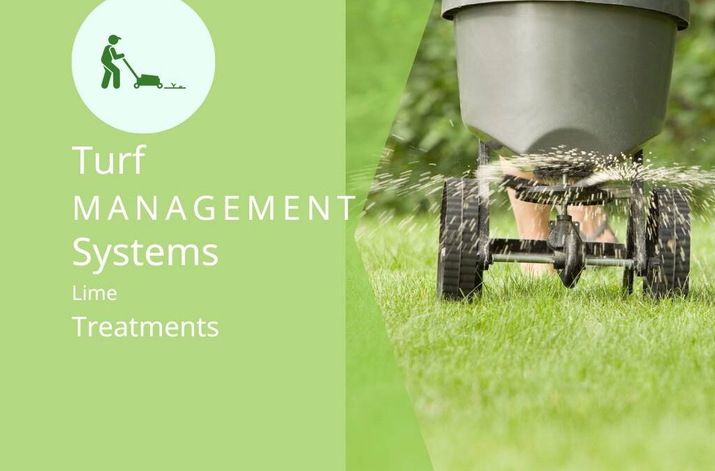 The Pros and Cons of Lime Treatments in Alabama