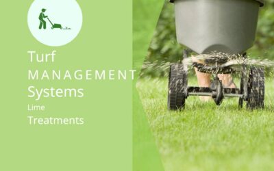 The Pros and Cons of Lime Treatments in Alabama
