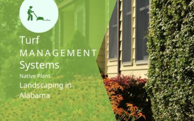 Native Plant Landscaping Ideas for Birmingham’s Outdoor Spaces
