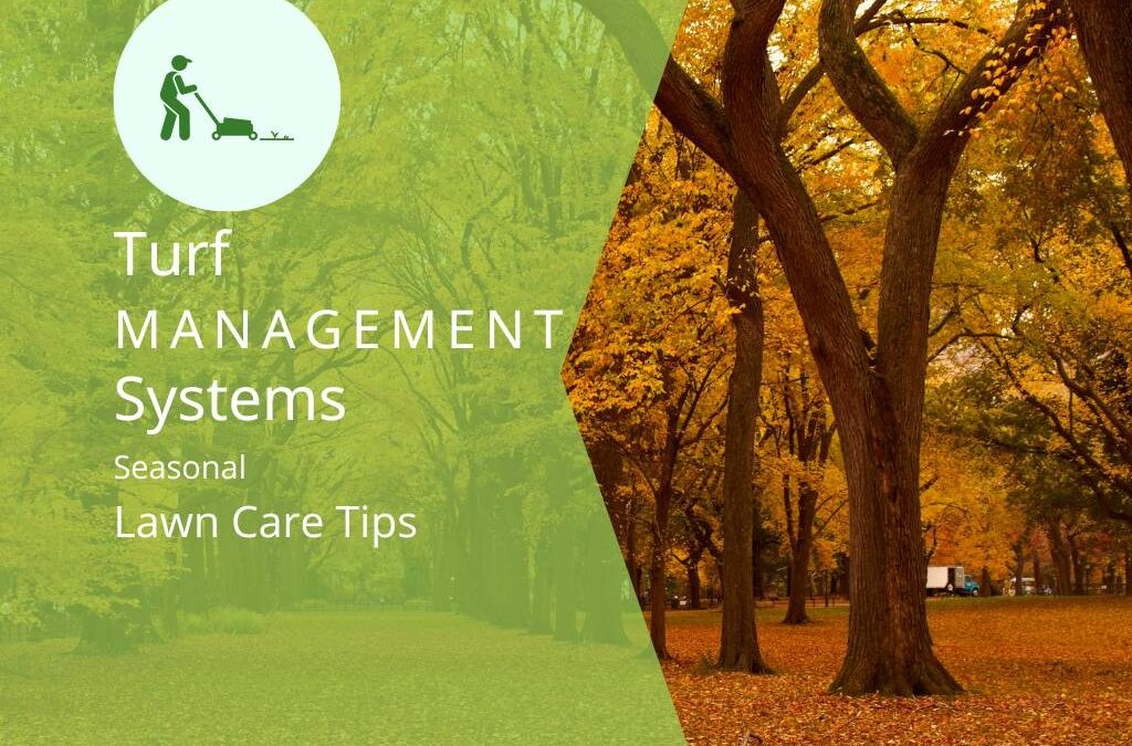 complete guide to seasonal lawncare by TMS Solutions