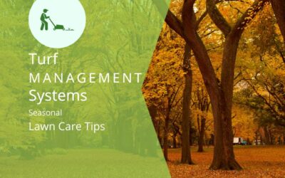 The Complete Guide to Seasonal Landscaping in Birmingham, AL