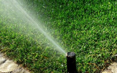 irrigation system in a small yard