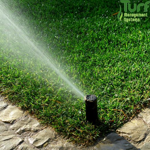 irrigation system in a small yard