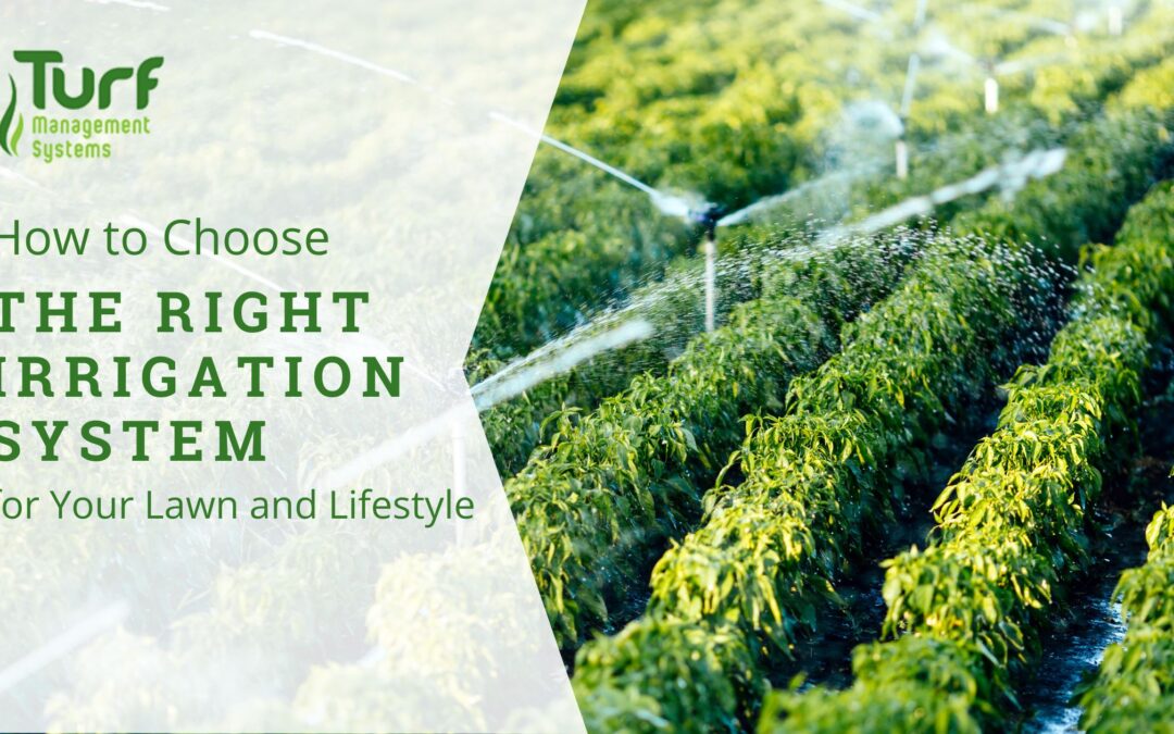 How to Choose the Right Irrigation System for Your Lawn and Lifestyle