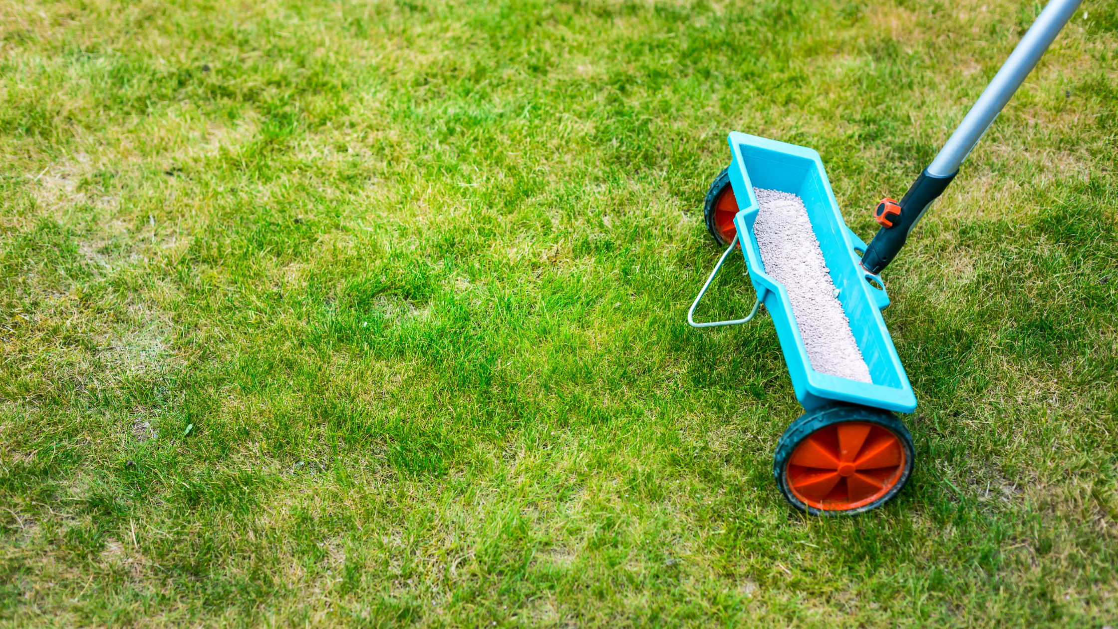 Costs of DIY Lawn Care