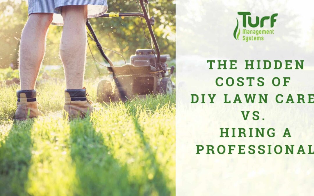 The Hidden Costs of DIY Lawn Care vs. Hiring a Professional