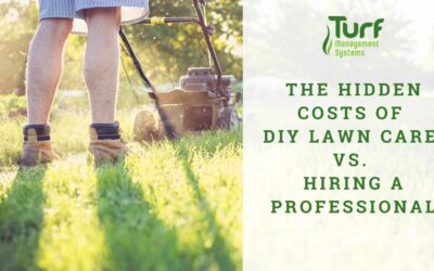 The Hidden Costs of DIY Lawn Care vs. Hiring a Professional
