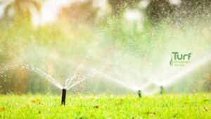 Spring Sprinkler Preparation