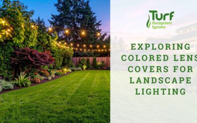 Exploring Colored Lens Covers For Landscape Lighting
