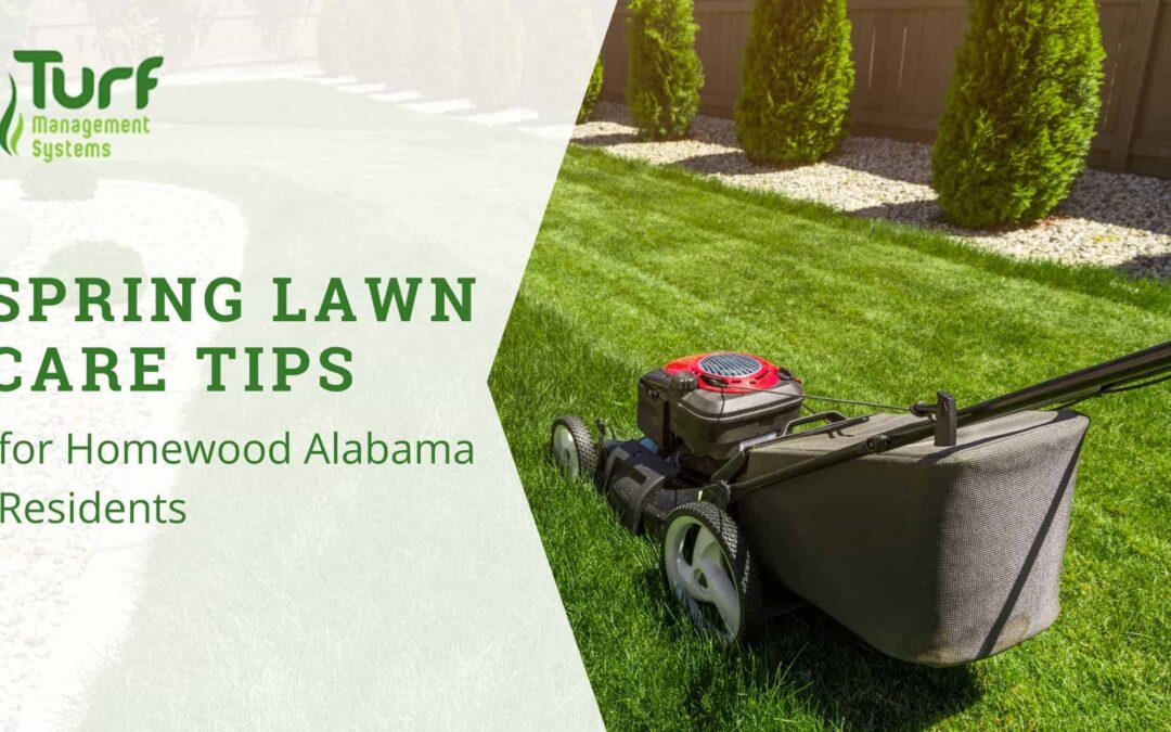 Spring Lawn Care Tips for Homewood Alabama Residents