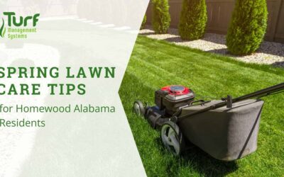 Spring Lawn Care Tips for Homewood Alabama Residents